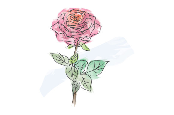 Download Watercolor Rose Design Illustration - Watercolor rose design Collection